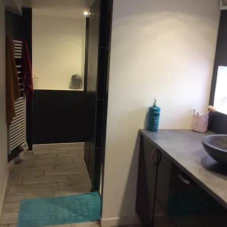 Maison Atypique Chez L Habitants בית אירוח Thuret